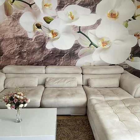 Sunkissed Centre Apartment Vlore Ngoại thất bức ảnh